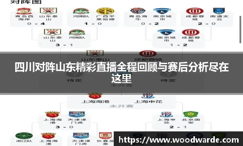四川对阵山东精彩直播全程回顾与赛后分析尽在这里