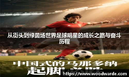 从街头到绿茵场世界足球明星的成长之路与奋斗历程