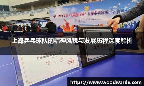 上海乒乓球队的精神风貌与发展历程深度解析