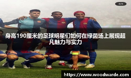 身高190厘米的足球明星们如何在绿茵场上展现超凡魅力与实力